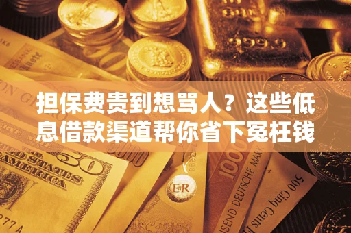 北京担保费贵到想骂人？这些低息借款渠道帮你省下冤枉钱