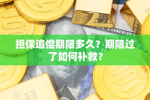 北京担保追偿期限多久？期限过了如何补救？